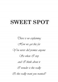 半澤直樹同人本SWEET SPOT