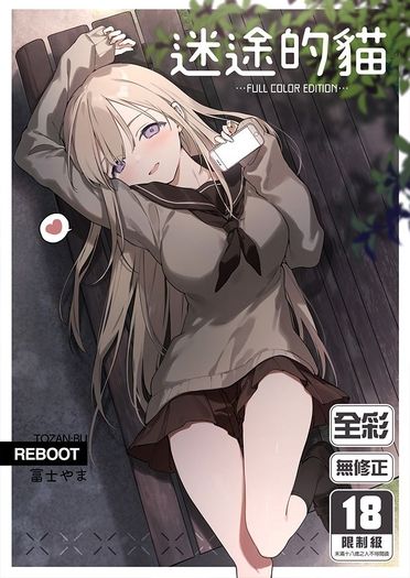 迷途的貓 封面圖