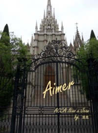 ACCA 尼吉小說本《Aimer》