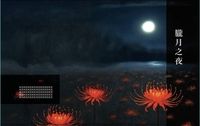 朧月之夜