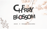 Cherry Blossom