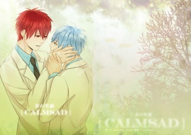 ｛Calmsad｝君の笑顏