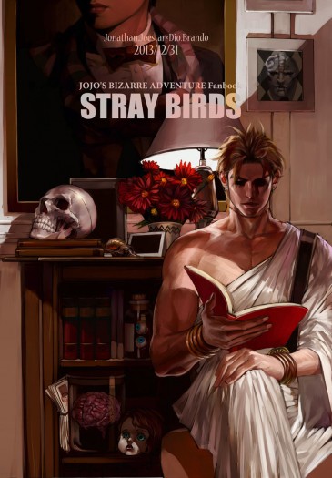 STRAY BIRDS 封面圖