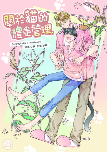 關於貓的體重管理