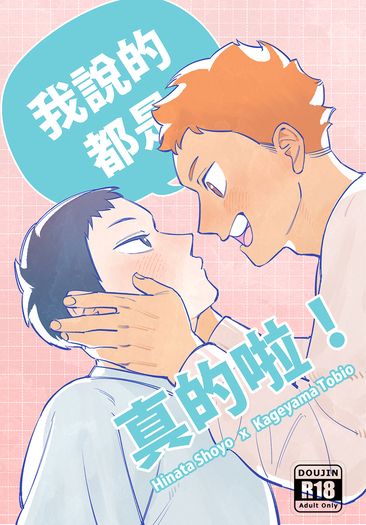 我說的都是真的啦！ 封面圖