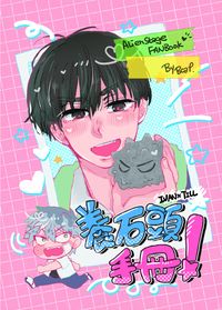 養石頭手冊