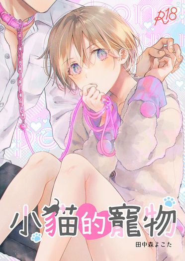 子貓的寵物