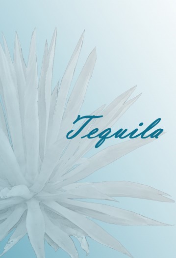 Tequila 封面圖