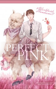 [PERFECT PINK]碩珍中心本