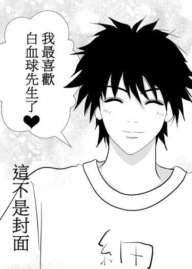 美麗境界