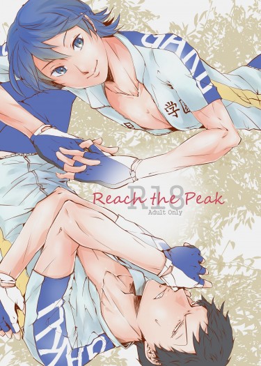 Reach the Peak 封面圖