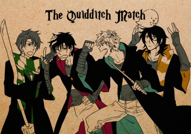 The Quidditch Match