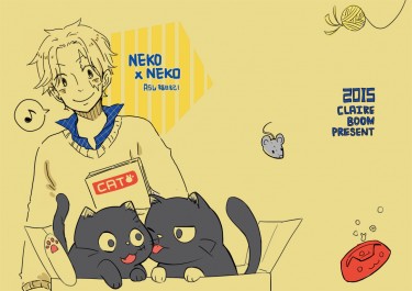 海賊王盃兄弟合本《Neko x Neko》