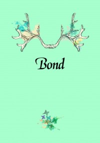 冬盾小說本《Bond》