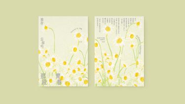 流花小說本《致你忘卻的那段青春》 封面圖