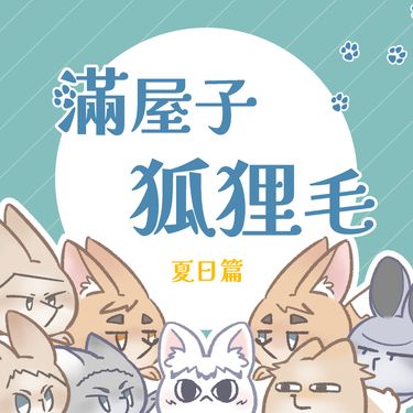 滿屋子狐狸毛 夏日篇