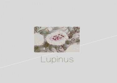 LUPINUS 封面圖