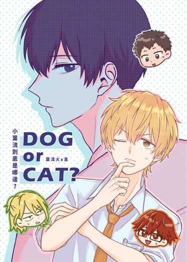 DOG or CAT?
