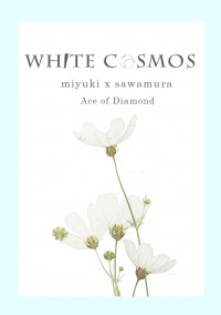 White cosmos