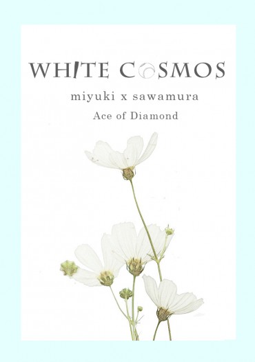 White cosmos