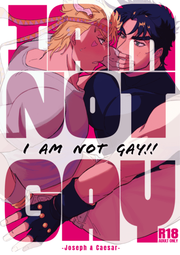 I am not GAY!! 封面圖