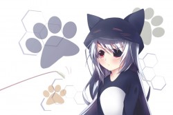IS〈Infinite Stratos〉- 蘿拉·博德維希