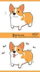 Neil the corgi (數位繪圖/ Photoshop)