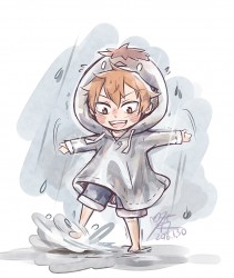 小插圖、插花