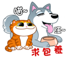 Cats and dogs are busy