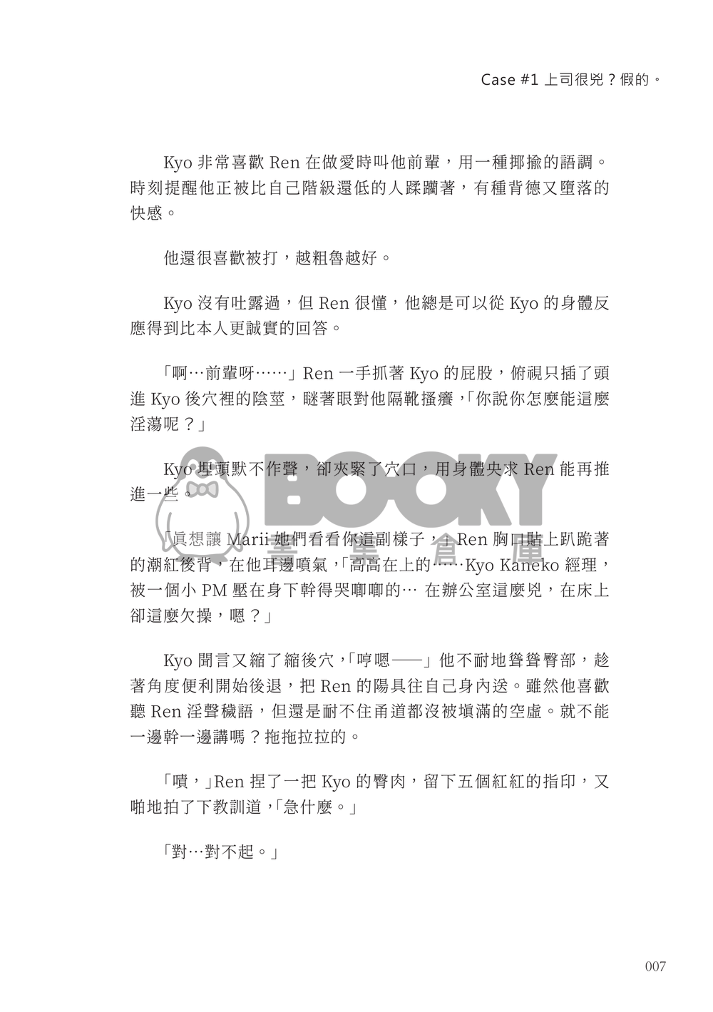 DS Electronics Inc. 試閱圖片