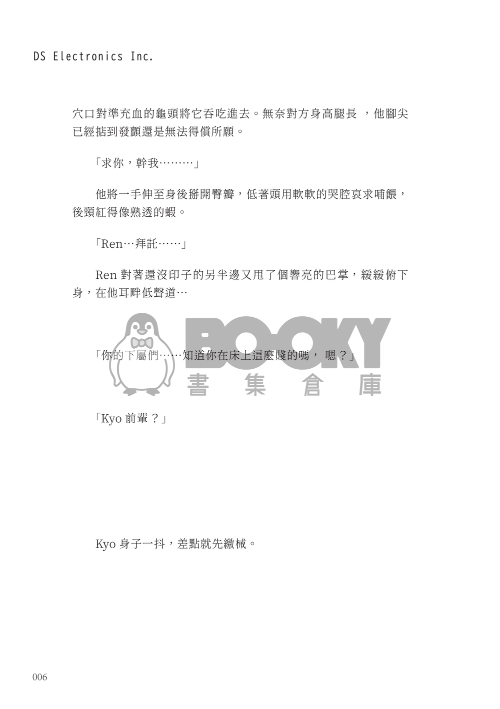 DS Electronics Inc. 試閱圖片
