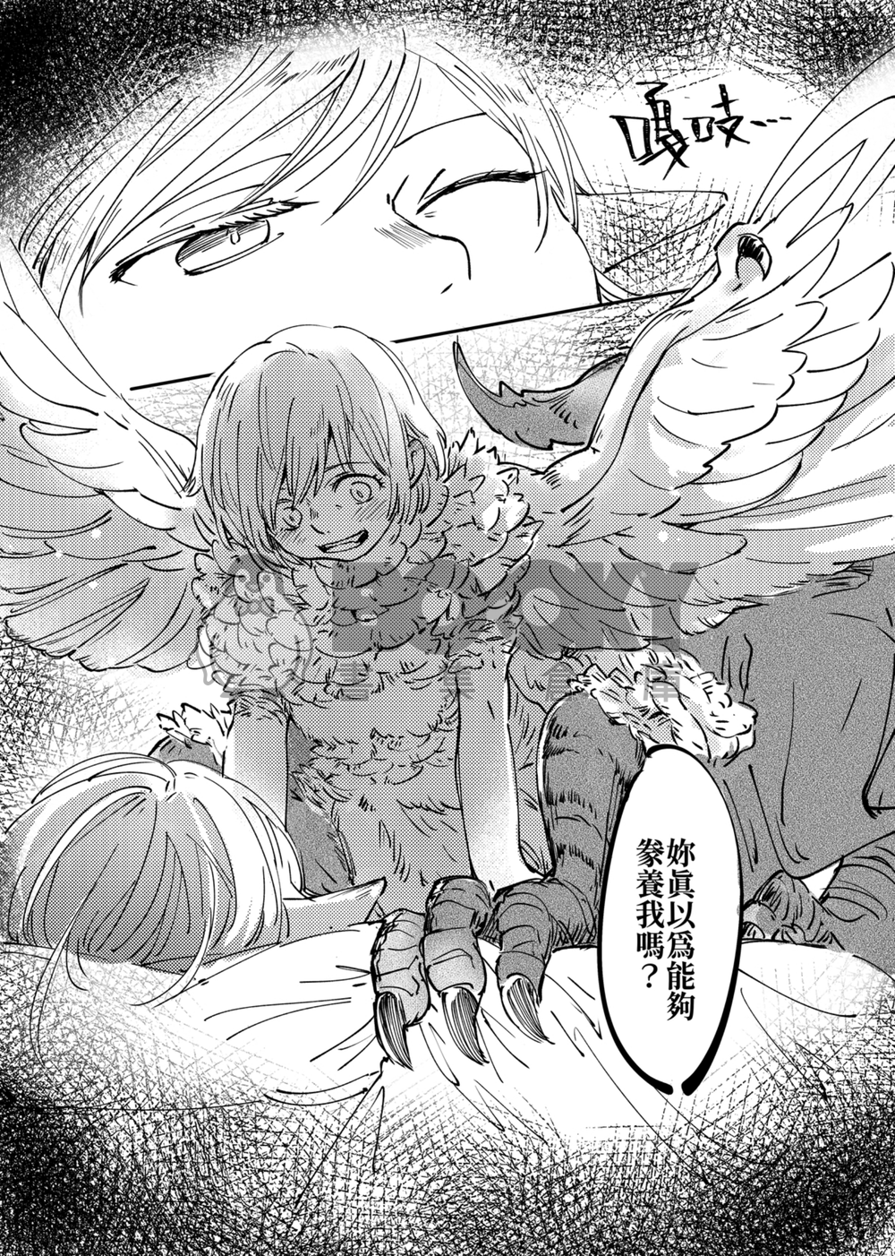 FUWAFUWATOII 試閱圖片