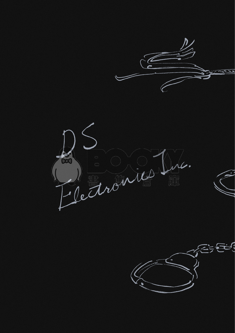 DS Electronics Inc. 試閱圖片