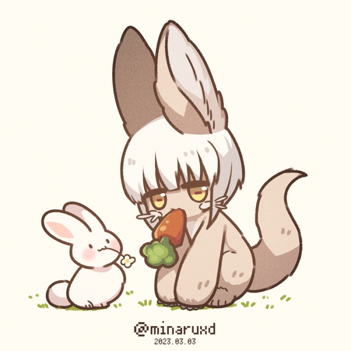 兔兔日