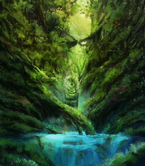 雨林