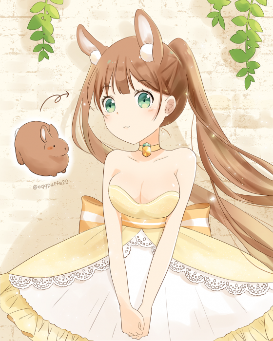 兔兔公主