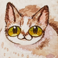 胖嘟嘟的貓