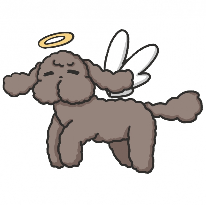 Yuri On Ice Fly Makkachin(2)