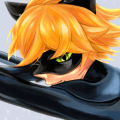 Cat Noir