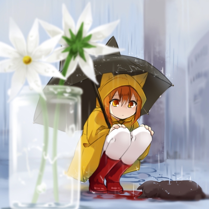 雨與貓與死