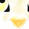 大山貓