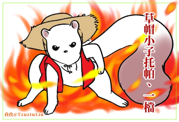 草帽小子托帕