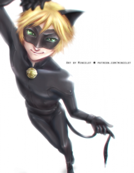 Cat Noir