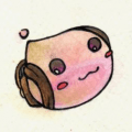 【RO】智者