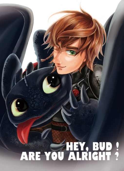 CWT38 HTTYD fan book