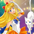 金星 愛野美奈子
