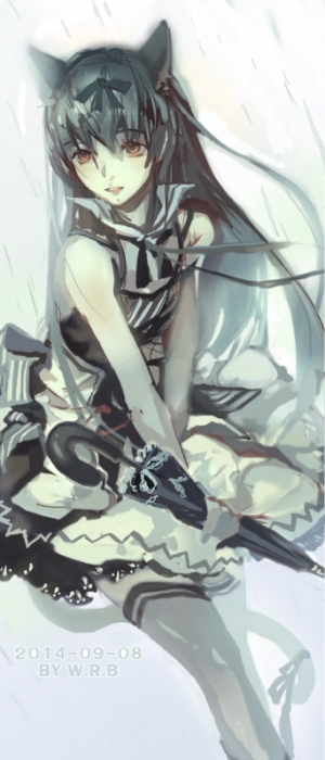 雨貓