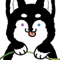 哈士奇拿花