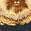 獅子兔