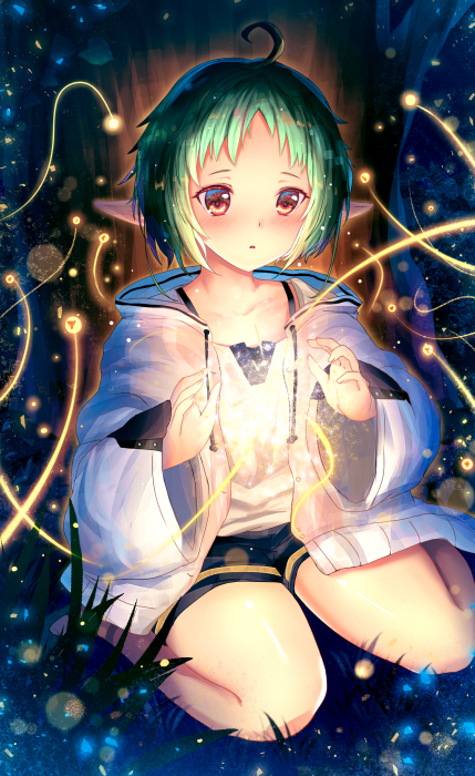 希露菲